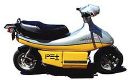 pet_scooter.jpg (3639 bytes)